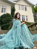 Elegant Vichitra Silk Gown Set for Women (Sky Blue) - Image 11