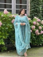 Elegant Vichitra Silk Gown Set for Women (Sky Blue) - Image 4